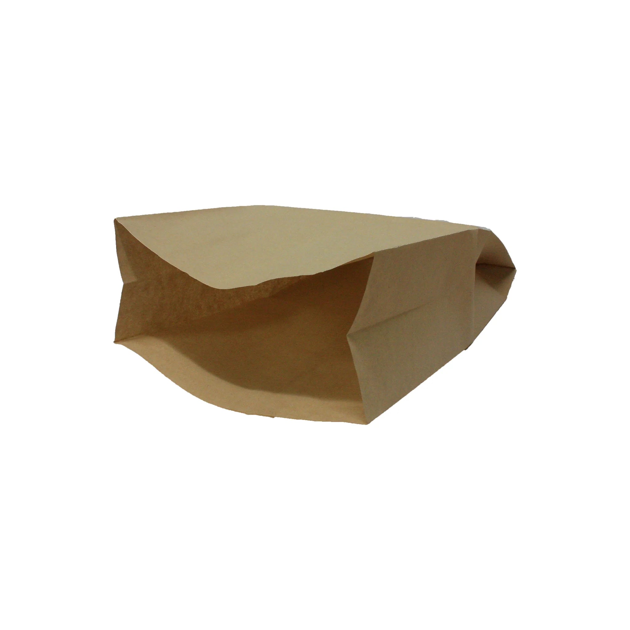 Vac Bags for GS80 / RockVac / BV1100 F049 x 5