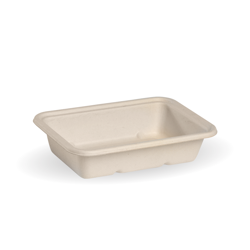 Container BIOCANE OBLONG Natural Takeaway 500ml x 500