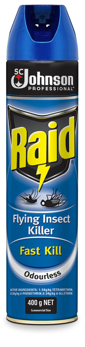 Raid Odourless Blue Aerosol 400gm
