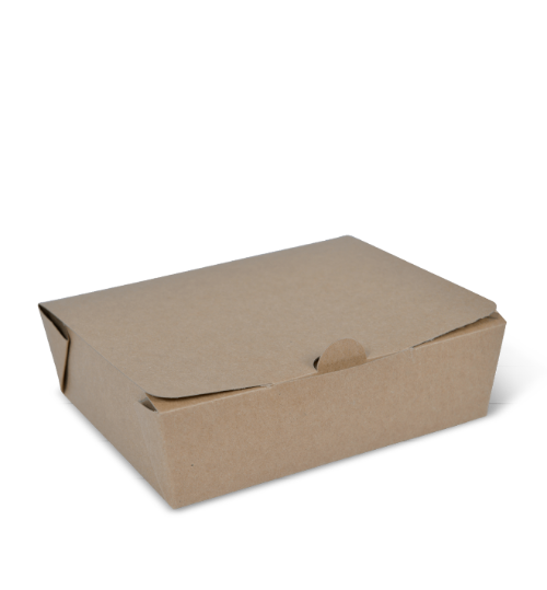 Container (Det) LARGE Takeaway Lunch Box x 300/ctn