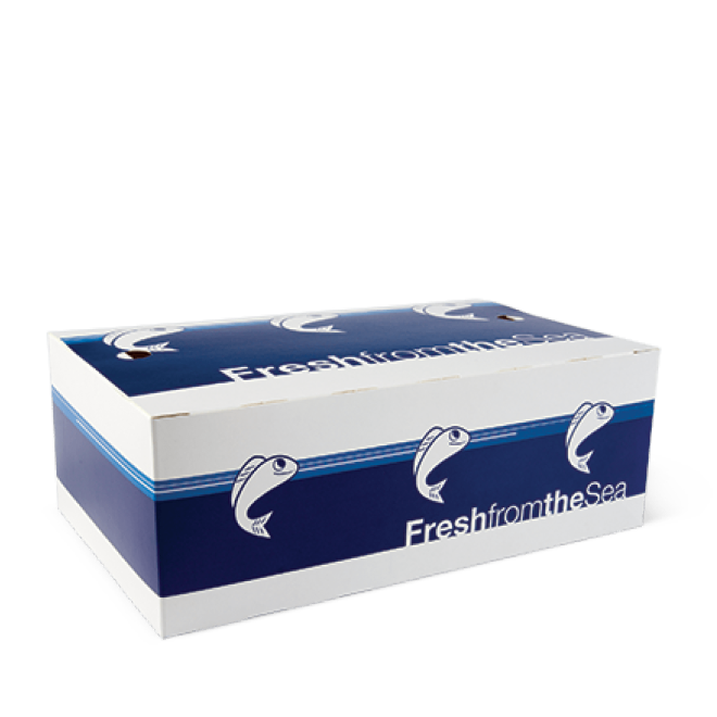 Fresh From The Sea Medium Box x 400