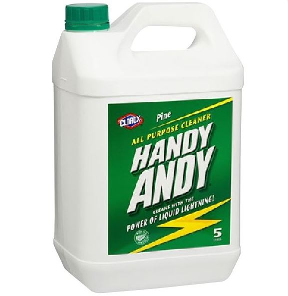 HANDY ANDY Pine 5L
