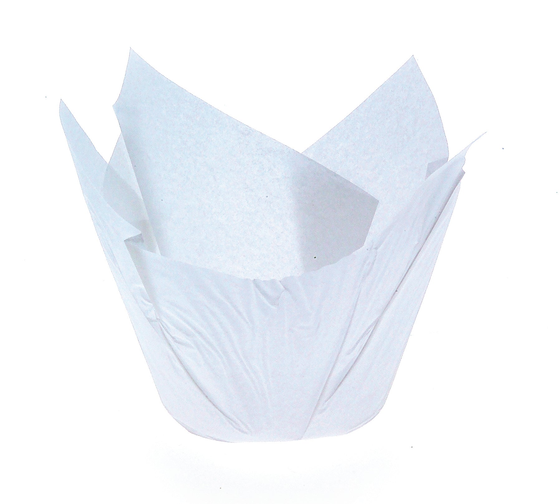 MUFFIN Wraps TEXAS WHITE P60RX175 x 500
