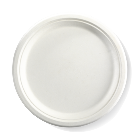 Plate - Round PL10 BIOPAK Dinner 10" x 500