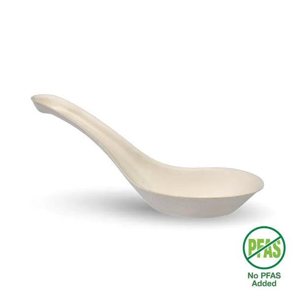 Cutlery CHINESE Spoon x 1000/ctn